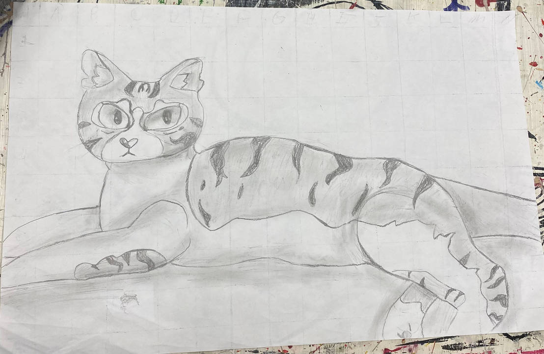 Silly cat by Ry3Br3ad1234 on DeviantArt