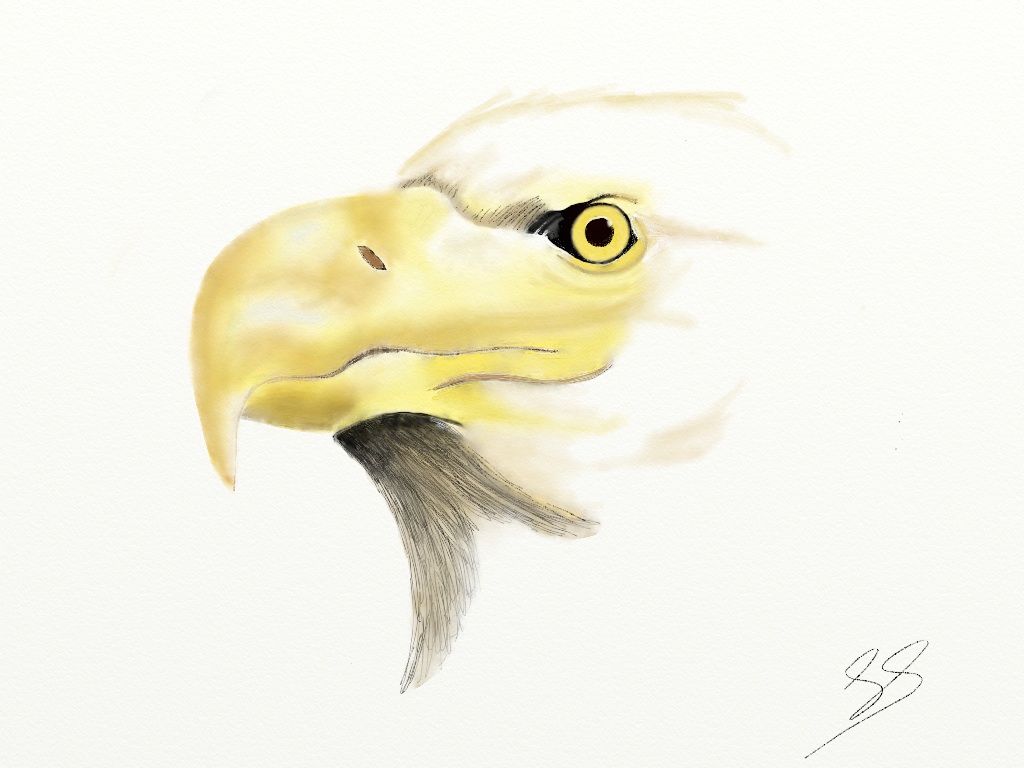 Eagle