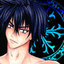 Gray Fullbuster