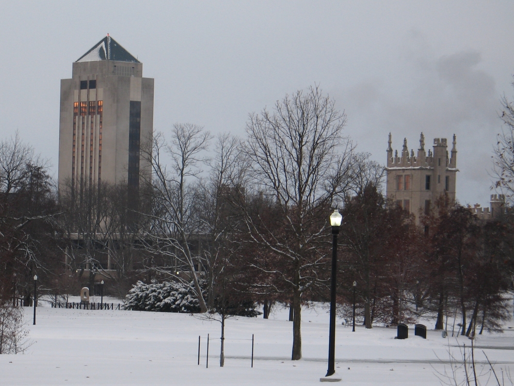 Kishwaukee Winter Skyline 6a