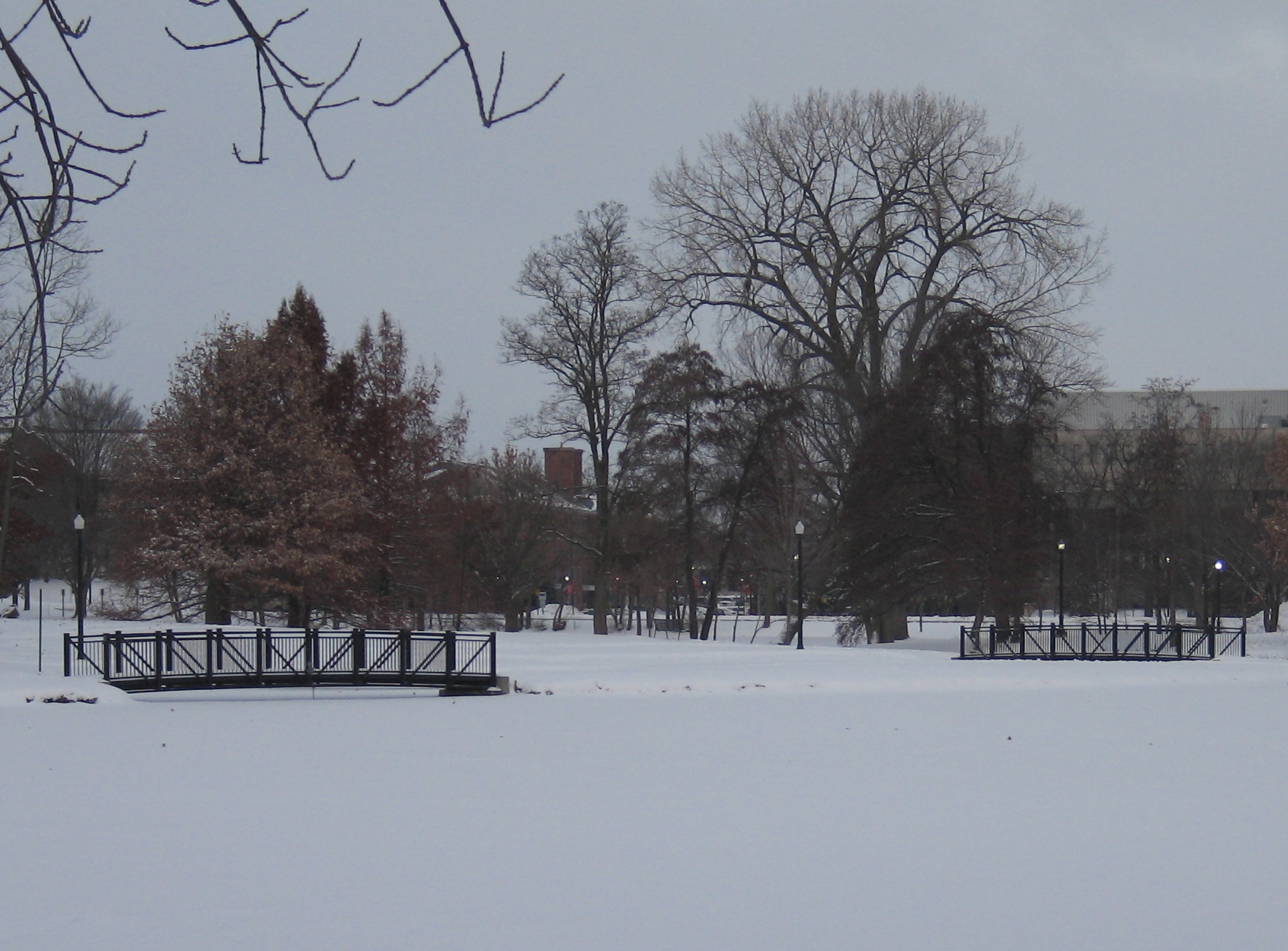 Winter Bridges 1a