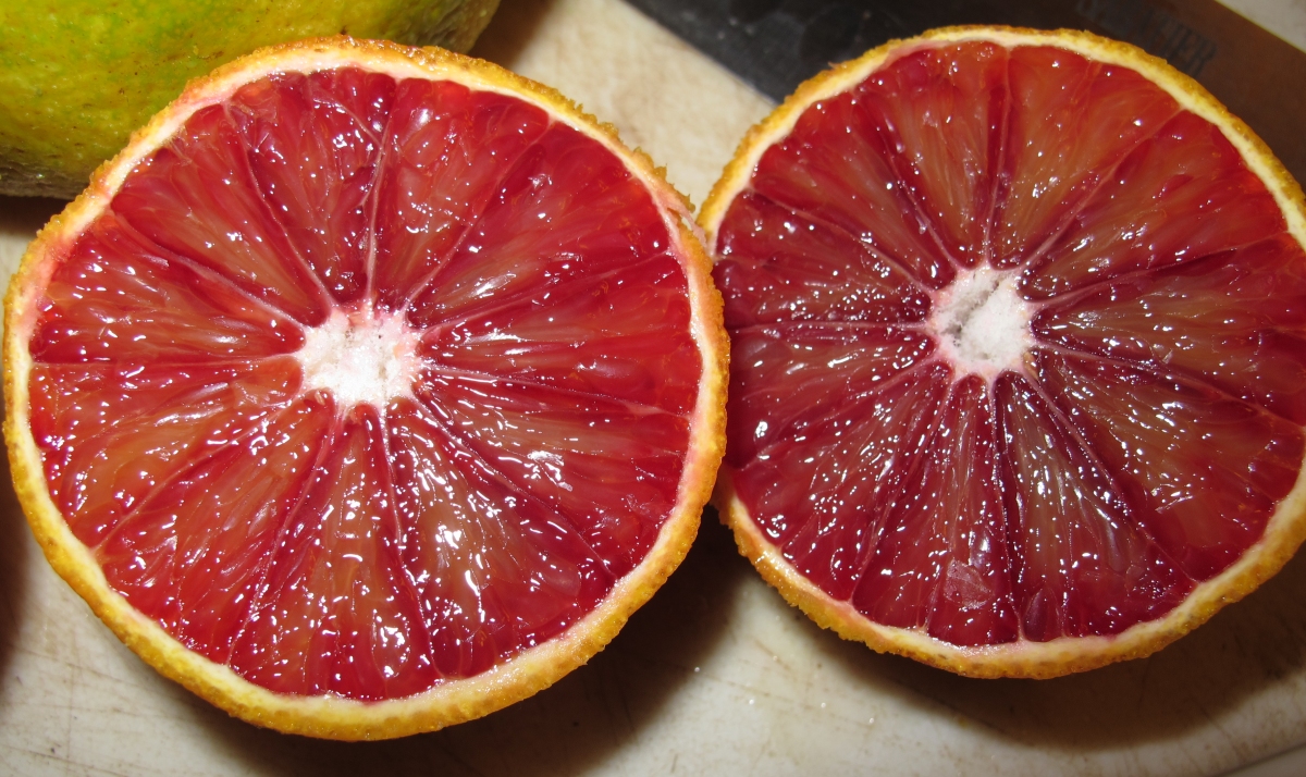 Blood Orange