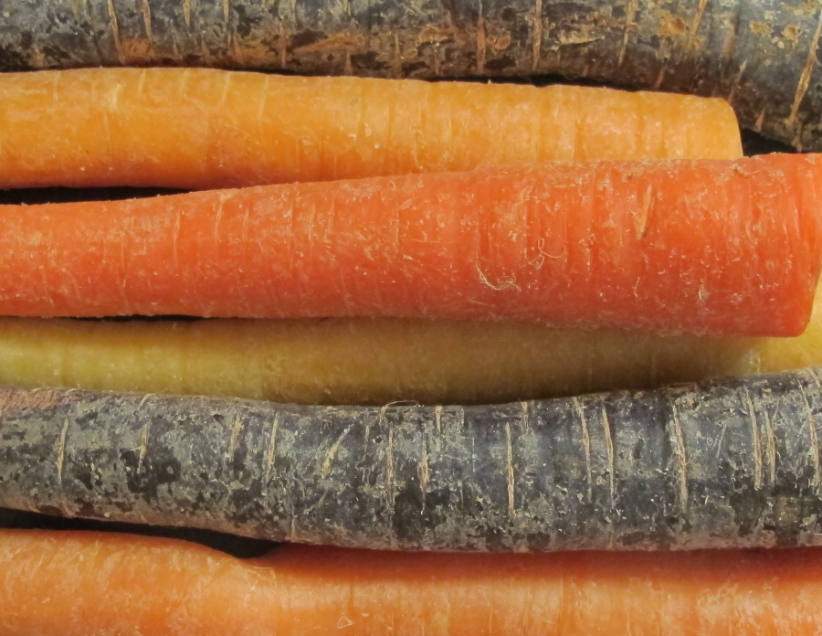 Colorful Carrots