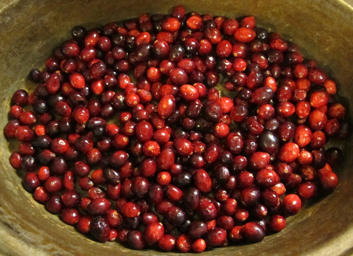 A Pan of Cran 1