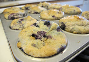 Gluten-Free Wild Blueberry Muffins 1