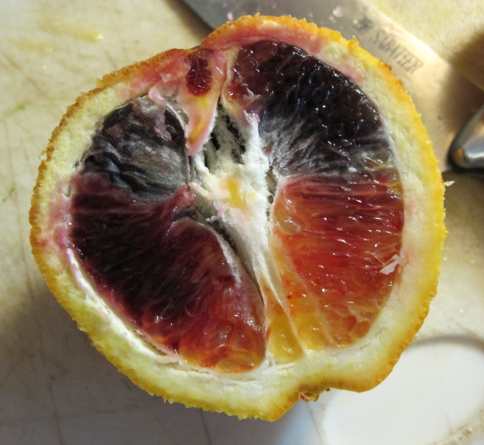 Blood Orange