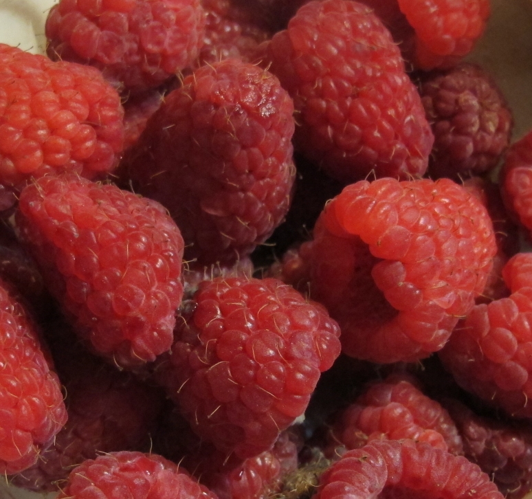 Bright Red Raspberries 2