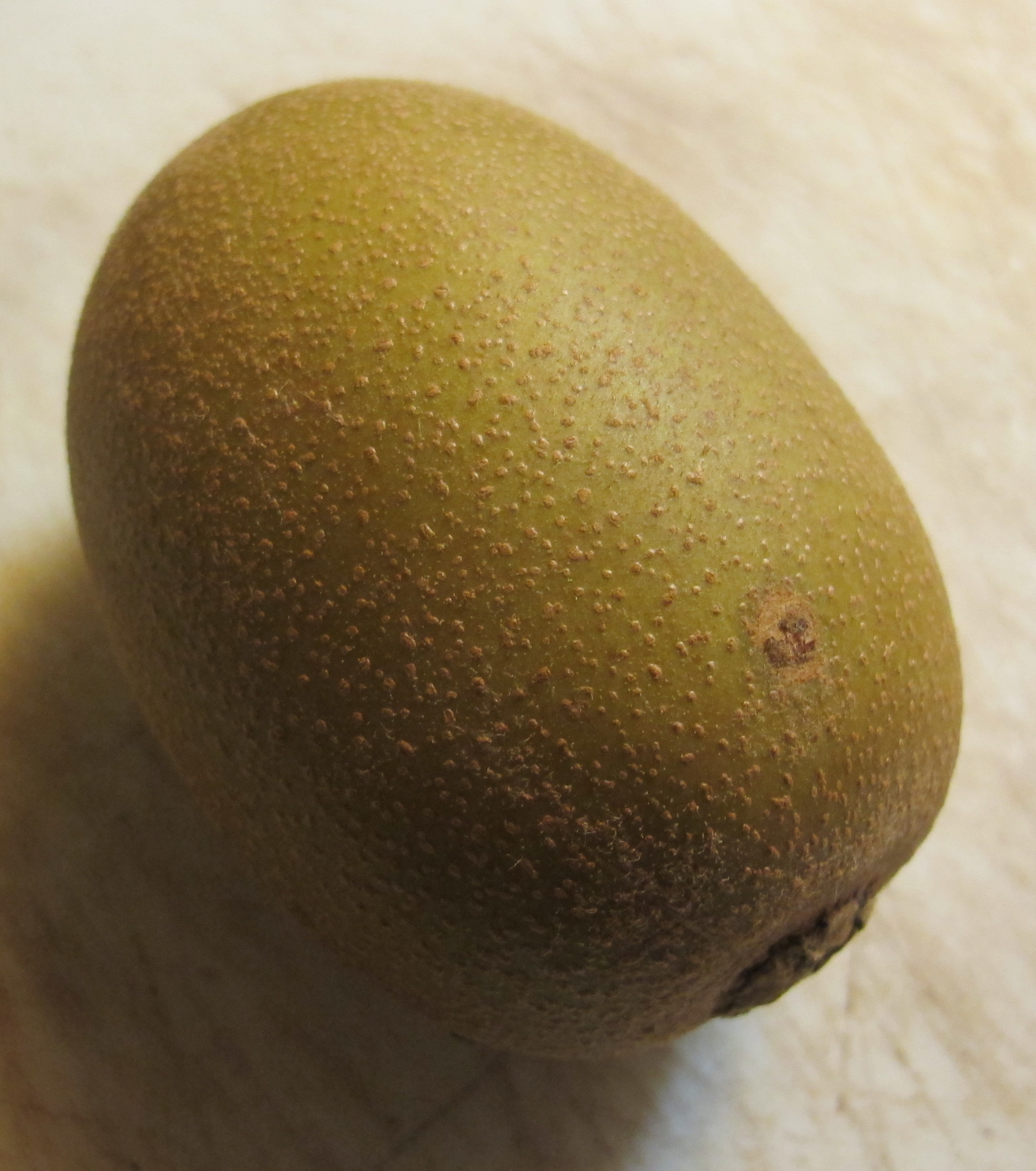 Golden Kiwi 1a