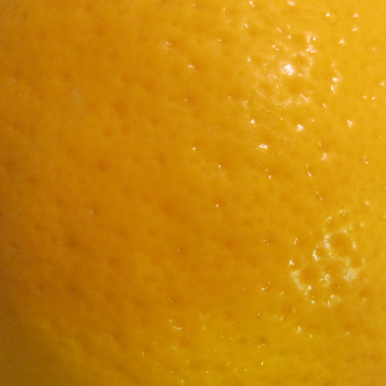 Meyer Lemon Closeup