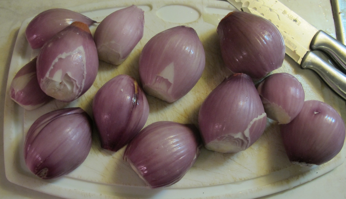 Shallots 1