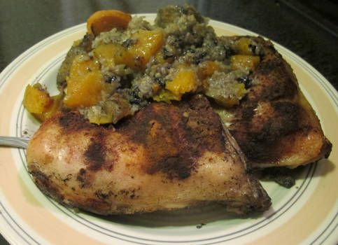 Chicken w. Persimmon, Butternut, Plantains, Rice 7