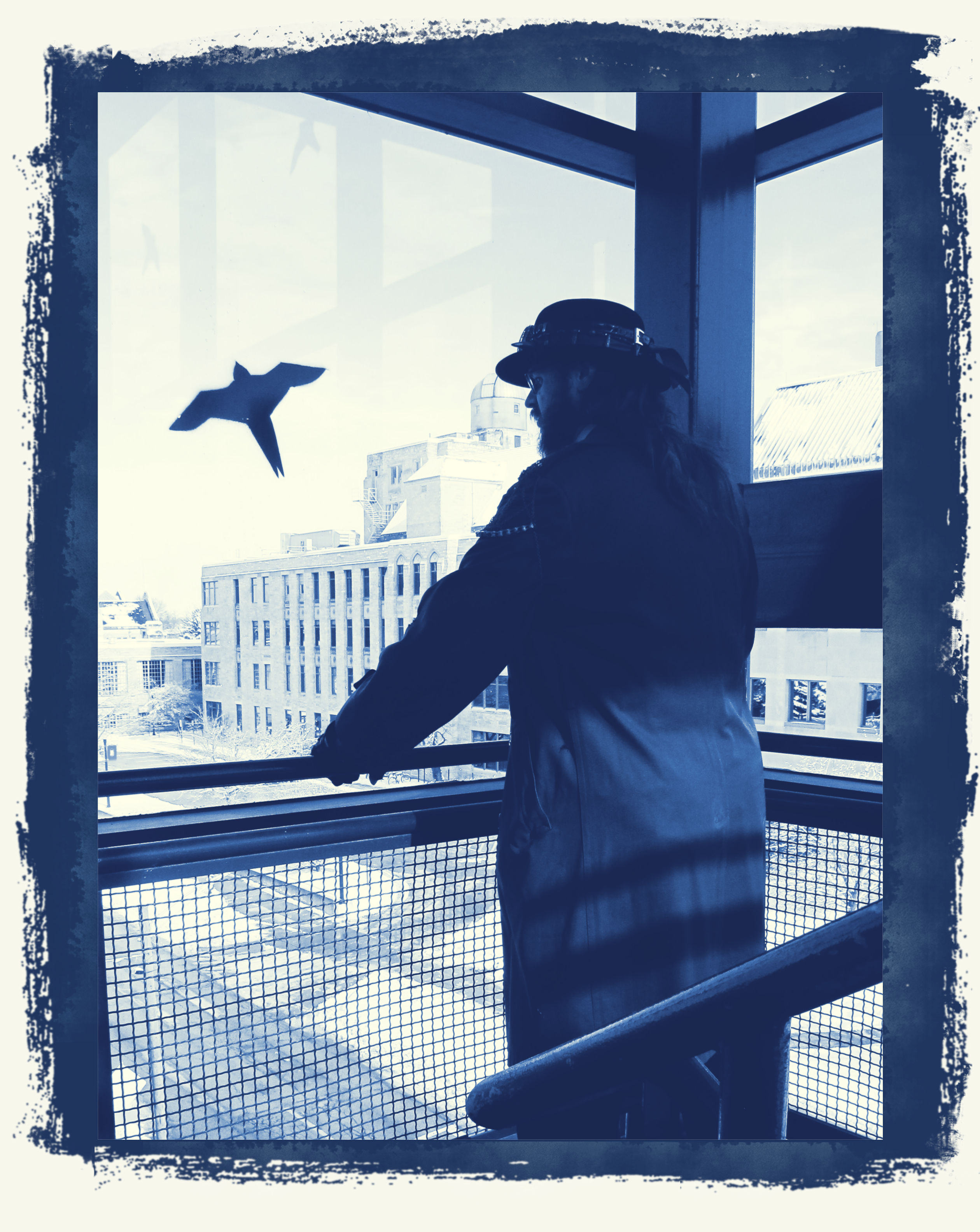 Quite the View 5 Cyanotype