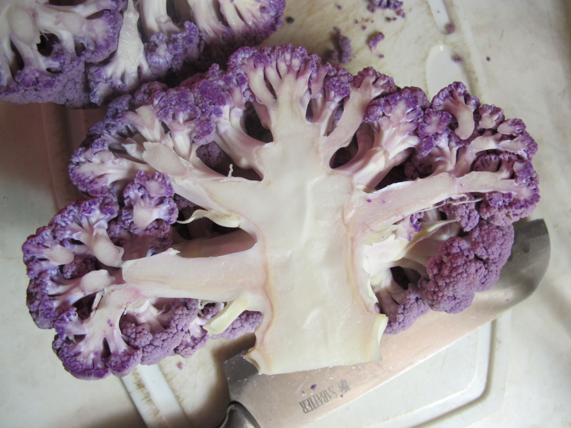 PURPLE ALIEN BRAINS!