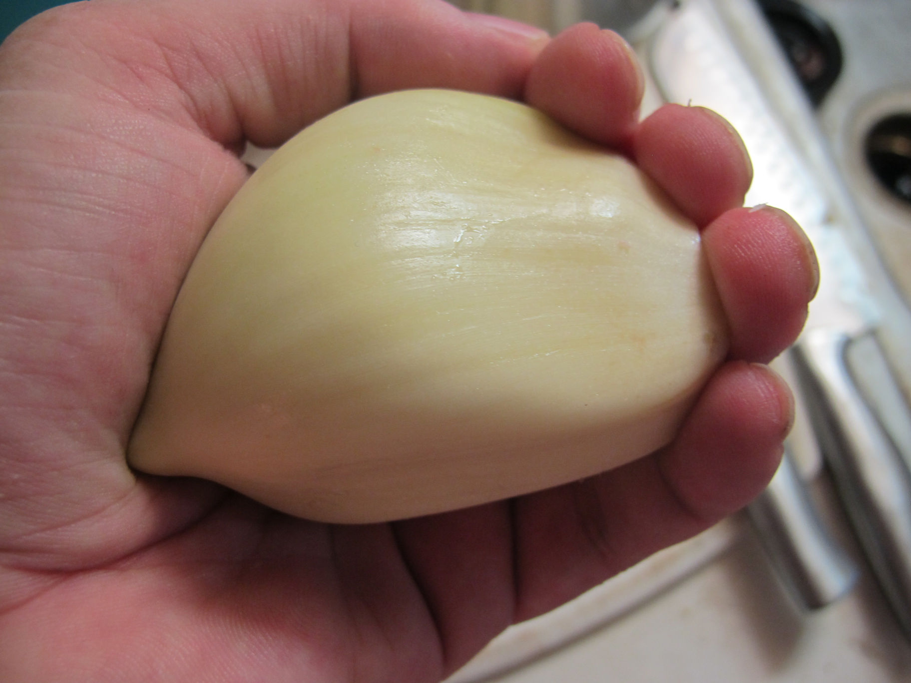 Clove of Elephant  Garlic