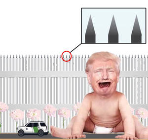 Wall Trumpertantrum