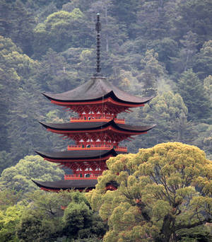 Temple in the Trees