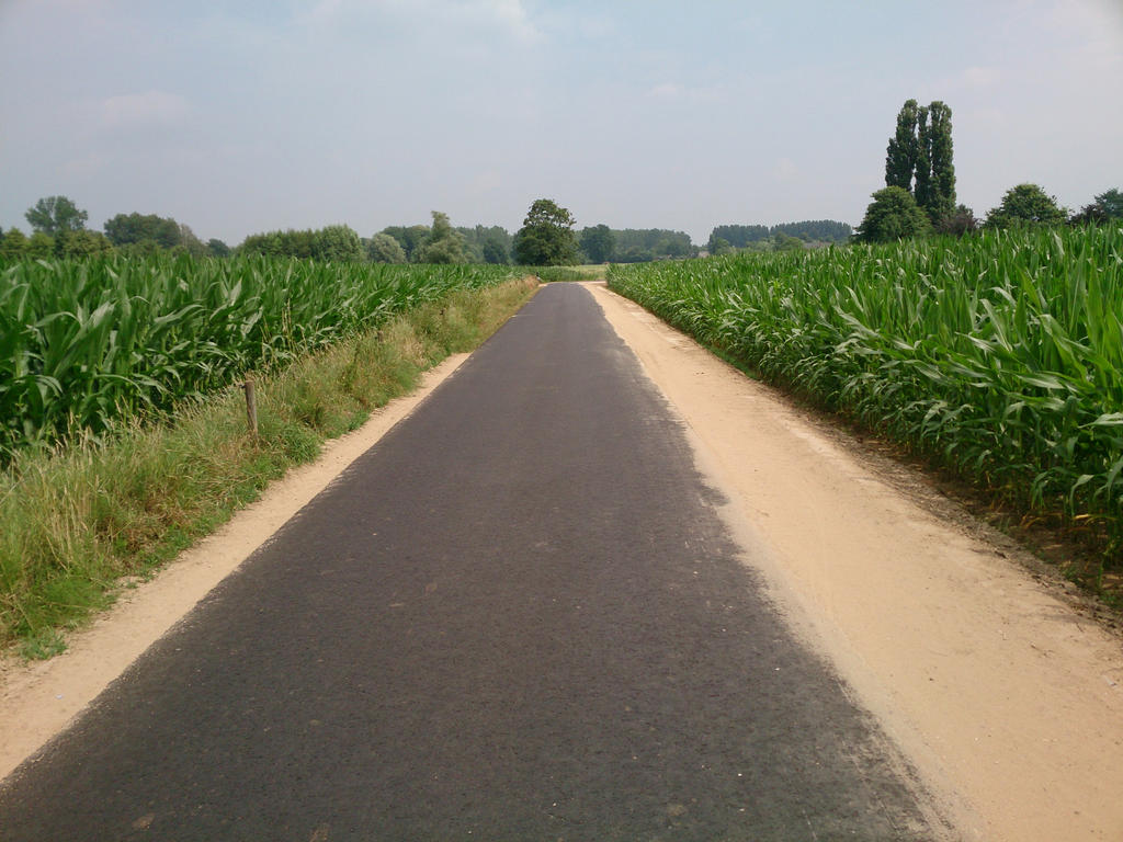 Road Deviantart Road by NicoDeviantArt on DeviantArt