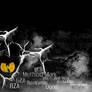 Wu-tang wallpaper