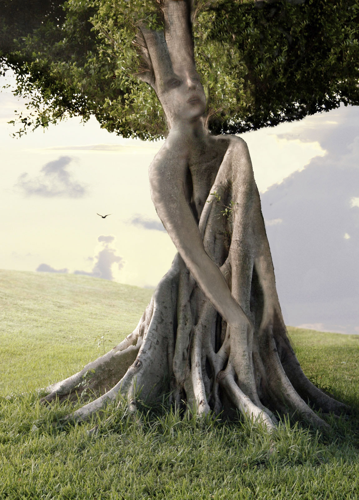 Tree Maiden