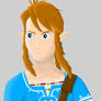 Breath of the Wild Link