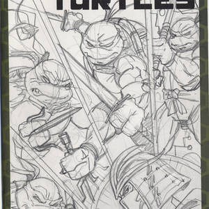 Tmnt cover progress