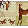 Foal design 2