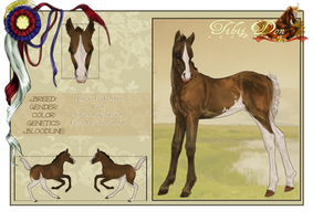 Foal 6