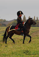 French Officer 1813 - 3