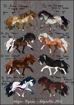 Equine Adoptables 2015 - CLOSED