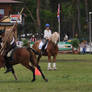 Working Equitation 12