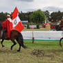 Paso Peruano 9