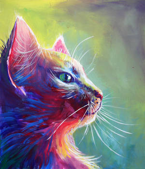 Colorful Cat 1