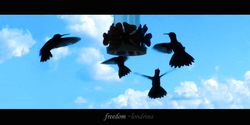 Freedom