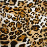 Leopard tex