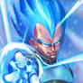 Vegeta Super Saiyan God 2