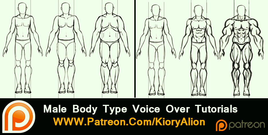 Male body type tutorials by KioryAlion on DeviantArt
