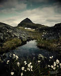 Jyppyra by BirgerAR