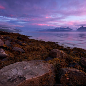 Lyngen fjorden