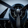 Fighter engine