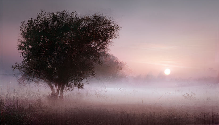 foggy morning