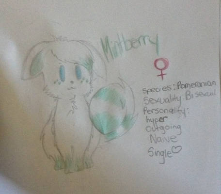 Mintberry the pom pom doge. :3