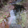 Reflective River