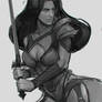 woman warrior  WIP
