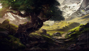 lonely tree