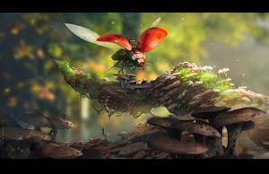 Mushrooms by sheer-madness Mushrooms by sheer-madness