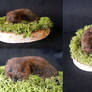 Vole Lifesize Mount SOLD