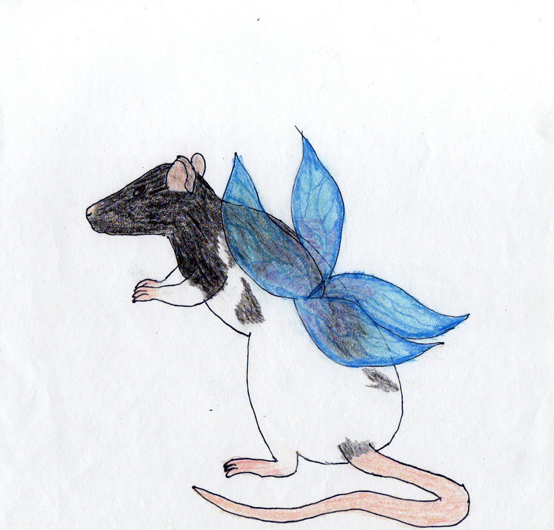 Fariy Rats Fairy Rat by kez245 on DeviantArt