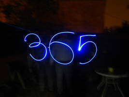 365 - End 2010