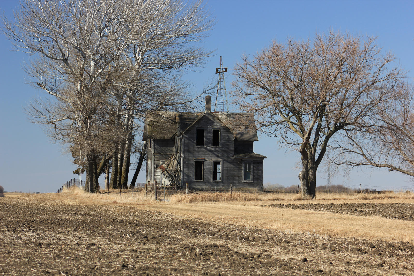 House Between the Trees