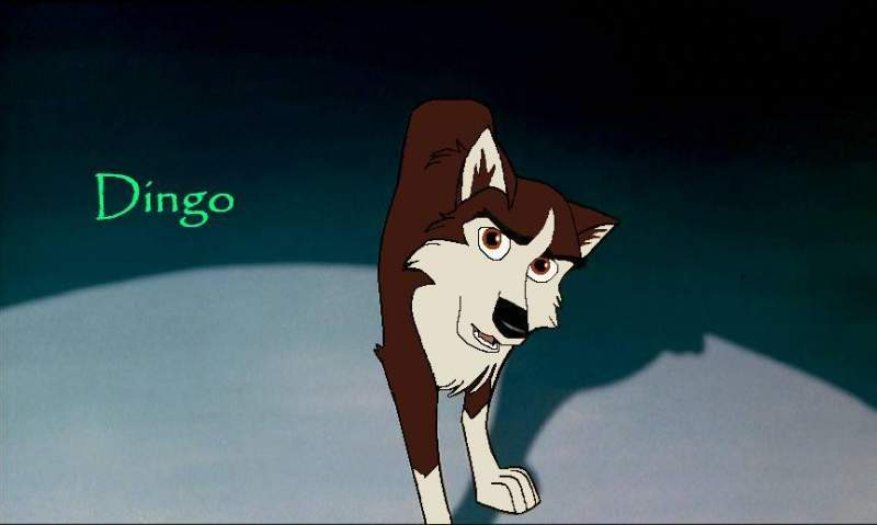 Dingo on HeritageOfBalto - DeviantArt.